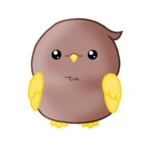 HootBirbs