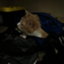 mikecy7