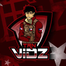 Vidz